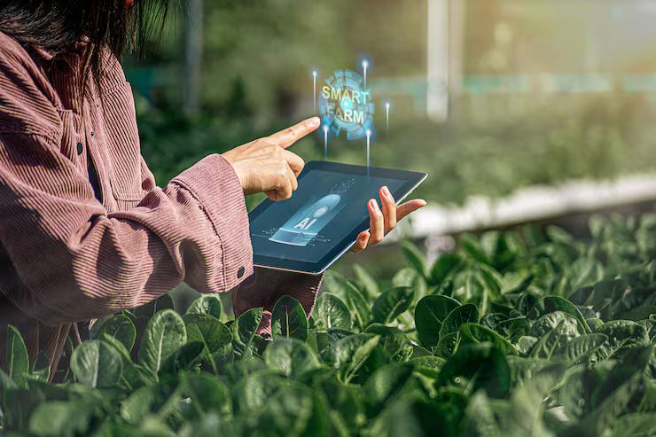 mãos femininas segurando um tablet projetando imagem de smart farming em meio a plantação